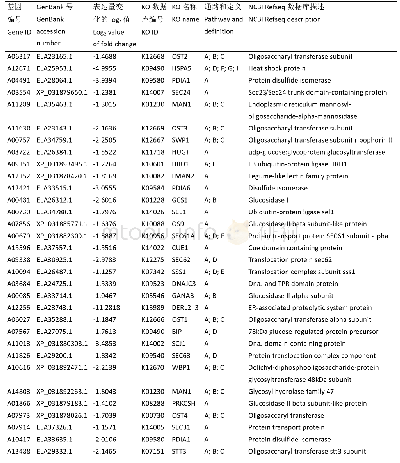 表3 显著富集在内质网蛋白质加工过程通路的32个基因功能注释