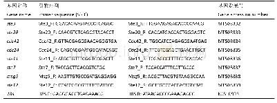 表1 信息素信号通路基因引物序列