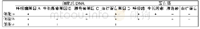 表1 某人体内几种细胞的基因及蛋白质情况