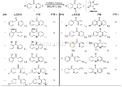 表2 溴代反应底物范围：二卤海因参与的(取代苯基)-(吡啶-2-基)-甲酮类化合物的卤化反应