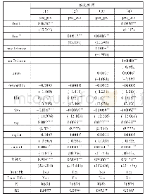 表5 缩尾处理检验结果