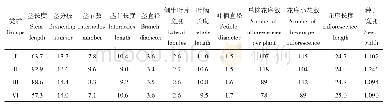 表4 红三叶种质每个类群表观性状的平均值