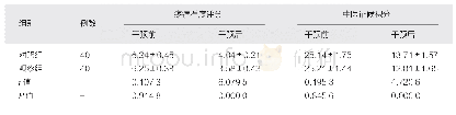 《表3 两组各项评分比较（分，±s)》