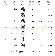 《表1 试验植被参数：植被叶片温度冠层温度预测与分析》