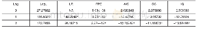 《表4 最优滞后阶数的确定》