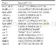 《表2 引物序列信息表：用于耐药基因体内转移研究的双荧光标记供体菌的构建》
