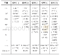 表2 截面相关稳健性回归结果