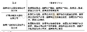 表7 湘潭市三大集团及下属重要子公司