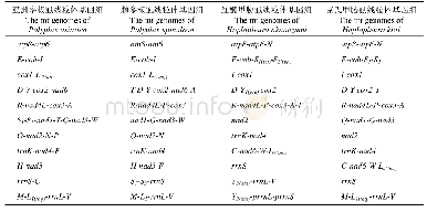 表5 4种吸虱的线粒体基因组