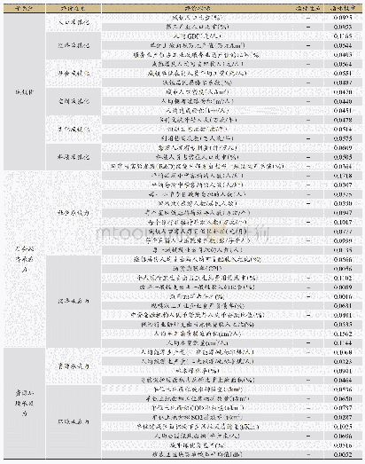 表1 城镇化与社会经济、资源环境承载力关系的指标体系