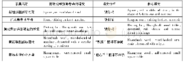 《表1：中国古典家具汉英翻译的公式化》