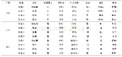 表5 各处理烤后烟叶外观质量分析