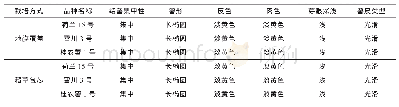 《表4 马铃薯块茎性状：2018年钦州市冬种马铃薯苗情监测结果分析》