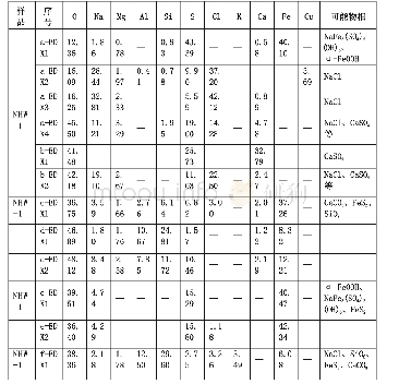 表1“南海Ⅰ号”船体木材能谱元素成分分析结果