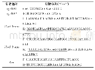 表1 sg RNA和同源臂引物序列