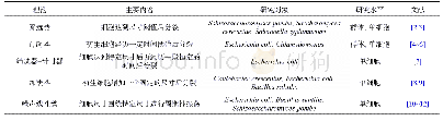 表1 关于细菌细胞尺寸稳态调控的相关理论