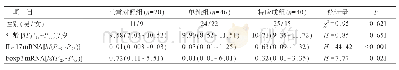 表3 不同组别IL-17、Foxp3mRNA水平