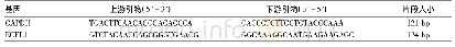 《表1 ECEL1基因与GAPDH基因引物序列》