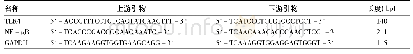 《表1 引物序列表：基于Toll样受体4/核因子-κB信号通路研究莪术醇抗肝纤维化的分子机制》