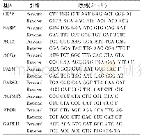 《表1 目的基因及内参GAPDH引物》