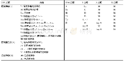 表1 TNM及病理分期系统(AJCC第八版)[1-2]