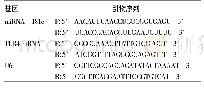 《表1 real-time PCR反应引物序列》