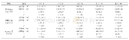 《表1 对两组术后不同时点VAS、Ramsay评分比较(±s,分)》