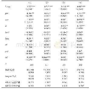 表4 面板数据的分时间段一阶差分广义矩估计结果