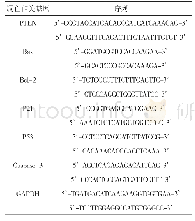 表1 PCR扩增引物系列