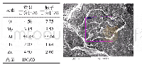 《表7 样品3缺陷部位能谱结果》
