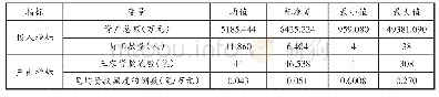 表5 小额贷款公司投入产出指标统计描述