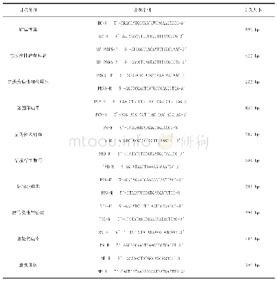 《表1 引物序列：猪普通蓝耳病毒和猪细小病毒及猪沙门氏菌混合感染导致猪流产的实验室诊断》