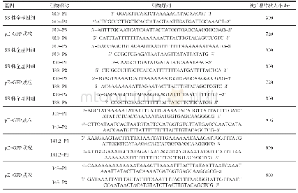 表1 山羊痘病毒SS株5个ANK基因扩增所用的引物序列