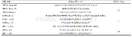 表2 PPRV、RVFV、SBV三重实时荧光定量RT-PCR扩增探针引物情况
