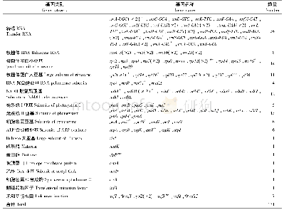 表2 多脉铁木叶绿体基因组基因信息(1)