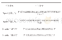 表2 实时定量基因扩增荧光检测系统(qPCR)引物设计