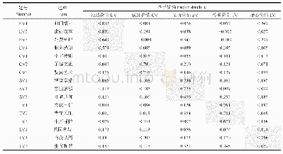 表4 探索性因子分析结果