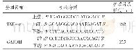 《表1 各基因PCR扩增的特异性引物序列》