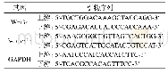 表1 引物序列：RNA干扰WEE1基因抑制结直肠癌细胞增殖侵袭的机制研究