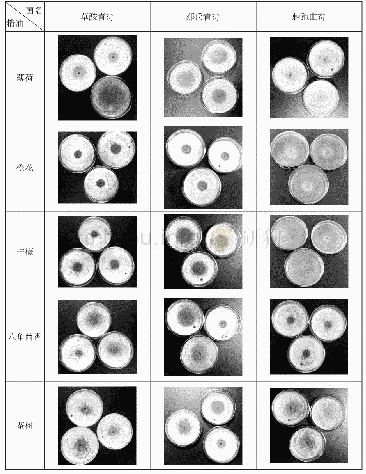 表1 7种植物精油对霉菌的抑菌实验结果照片