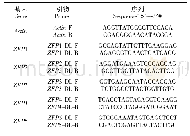 表1 实时定量RT-PCR引物序列