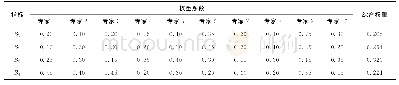 《表3 权重系数及综合权重》