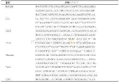 《表1 核酸探针序列：循环肿瘤细胞数量及分型检测在肾癌疗效评价中的作用》