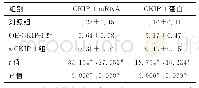 表1 各组细胞CKIP-1mRNA和蛋白水平比较（±s)
