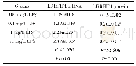 表1 不同剂量LPS诱导支气管上皮细胞16HBE对LRRFIP1表达的影响