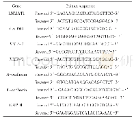《表1 引物序列：LNMAT1/CADM1调控轴对前列腺癌侵袭和免疫抑制因子的影响》