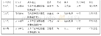表2 发音人资料：壮语文马土语的浊塞音
