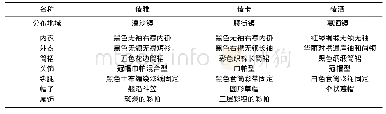 《表1 花腰傣不同地域的服饰景观》