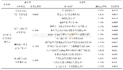 《表8 各层次权重分布：农村电商扶贫绩效评价指标研究》