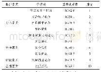 表1 重要度系数排名前10子项目